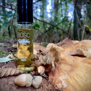 Landscape Scents - Bosc - Bravanariz