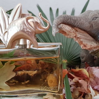 Kenzo Jungle / Jungle L'Éléphant by Kenzo