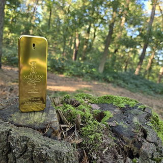 1 Million Absolutely Gold von Rabanne