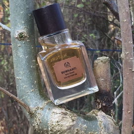Bowhanti - Spicy Woods - The Body Shop