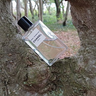 Viking Cologne - Creed