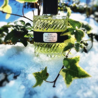 Eau Sauvage Parfum (2017) - Dior