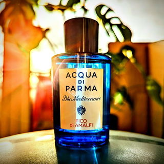 Fico di Amalfi von Acqua di Parma