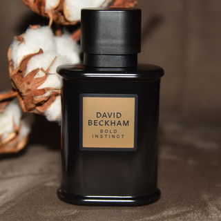 Bold Instinct (Eau de Parfum)