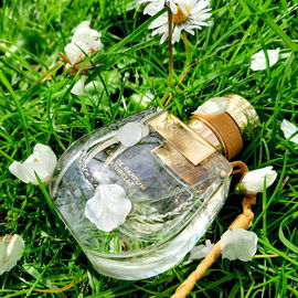 Ich danke euch allen sehr für euren Besuch und die lieben Kommentare! 🌼🌿💚🤗