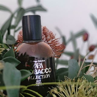 Rich/Warm/Addictive (Eau de Toilette) von Zara