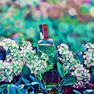 Coty d'Azur (Eau de Parfum) - Coty