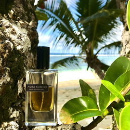 Holiday-Greetings 🇸🇨🏝🐠☀️🦀🐢🐬🌺
