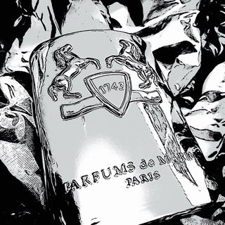 Impact - Tommy Hilfiger