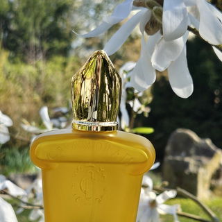 Oriana - Parfums de Marly