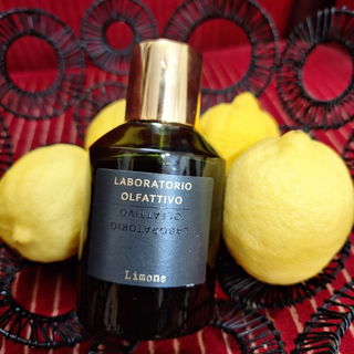 Limone von Laboratorio Olfattivo