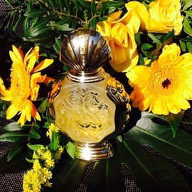 Shatha al Oudh - Rasasi / الرصاصي