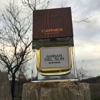 Ambar del Sur - Carner
