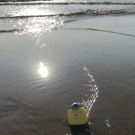Mein treuer Begleiter ...am Strand