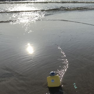 Mein treuer Begleiter ...am Strand
