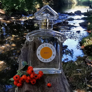 Jicky (Eau de Parfum) von Guerlain