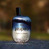 Vielen lieben Dank für eure Worte und ich wünsche allen viel Gesundheit und Glück für das neue Jahr! (von Scottie)