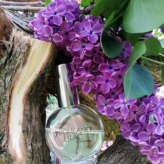 Highland Lilac - Highland Lilac of Rochester