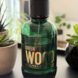 Green Wood von Dsquared²