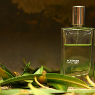 Evergreen von Jil Sander