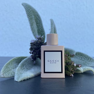 Bloom (Eau de Parfum) by Gucci