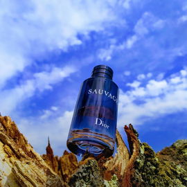 Sauvage (Eau de Toilette) - Dior