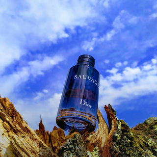 Sauvage (Eau de Toilette) - Dior