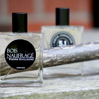 16.1 Bois Naufragé von Pierre Guillaume