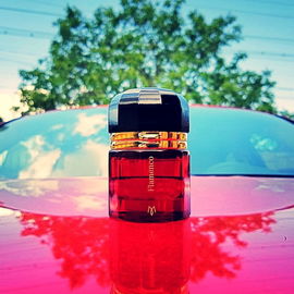 Flamenco (Eau de Parfum) - Ramón Monegal