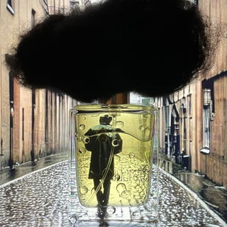 Pioggia Moderata by Filippo Sorcinelli