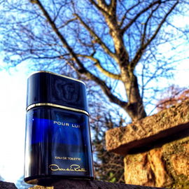 Pour Lui (Eau de Toilette) - Oscar de la Renta