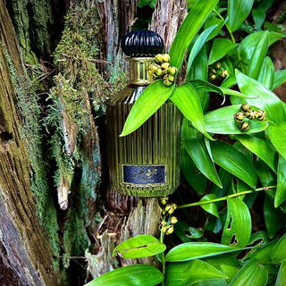 …📷🌍 Thank you. Danke schön. Merci beaucoup. Muchas gracias. Dōmo arigatō gozaimasu 💐…