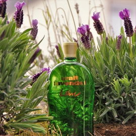 Uralt Lavendel / Uraltes Lavendel-Wasser - Gustav Lohse