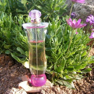 White Musk Libertine (Eau de Toilette) - The Body Shop