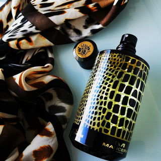Wild Python - Mancera