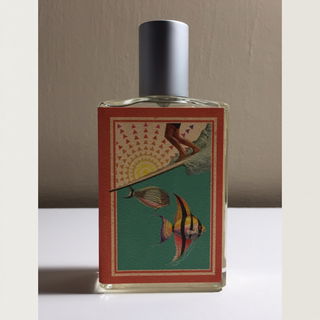 Sundrunk by Imaginary Authors