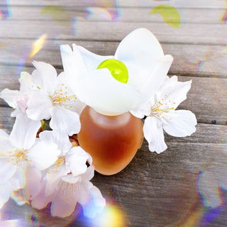 Narcisse (Eau de Toilette) von Chloé