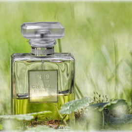 N°19 Poudré - Chanel