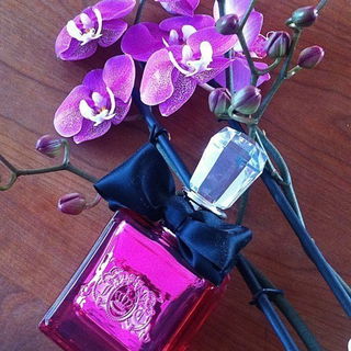 Viva La Juicy Noir von Juicy Couture