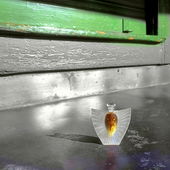 Ein Luftgeist  :) auf einem heißen Blechdach (by Seejungfrau)