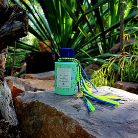 forte_forte loves Acqua di Parma: Blu Mediterraneo - Mirto di Panarea - Acqua di Parma