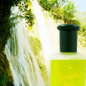 Legendary Sumatra Rain meets 