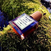 Fein gebettet, von der Sonne sanft berührt.... (by Rosie88)