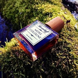 Fein gebettet, von der Sonne sanft berührt....