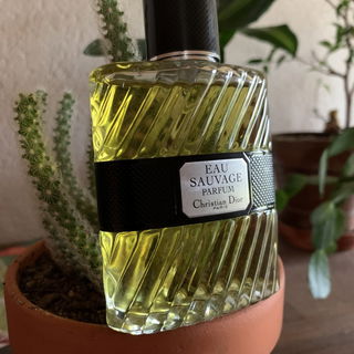 Eau Sauvage Parfum (2017) von Dior
