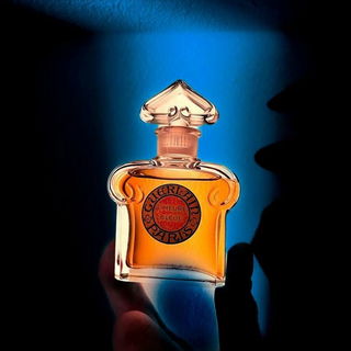 deadofnight (Eau de Parfum) - Strangelove NYC / ERH1012