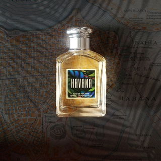 Havana (Eau de Toilette) by Aramis