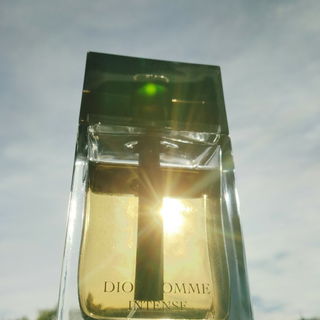 Dior Homme Intense (2011) by Dior