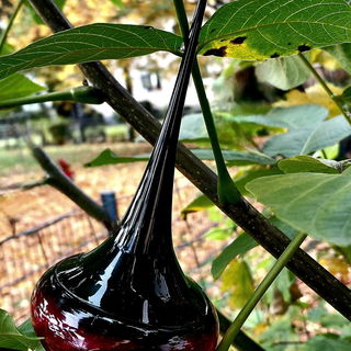 Love Potion (Eau de Parfum) von Oriflame