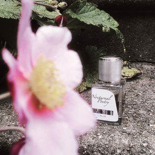 Man kann Kreise in Wachs malen,in den Staub,in ein Fell.Am Ende bleibt es Rosenstaub auf einer alten Kiste Klippdachs Poesie. DANKE EUCH ALLEN.🥀